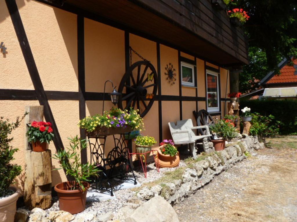 Ferienwohnungen Klosterblick Walkenried Kültér fotó