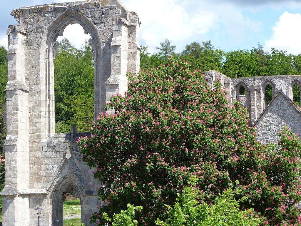 Ferienwohnungen Klosterblick Walkenried Kültér fotó